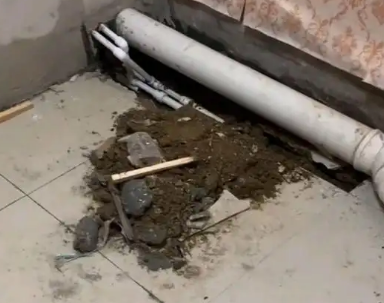 曾都卫生间漏水检测哪家好