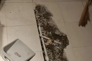 曾都卫生间漏水检测电话